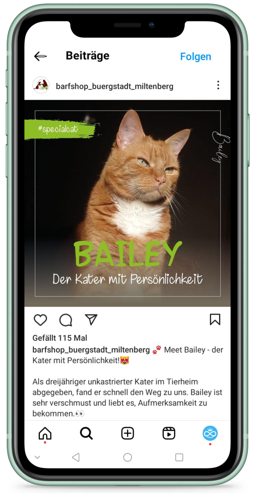 CoopersCorner_posting