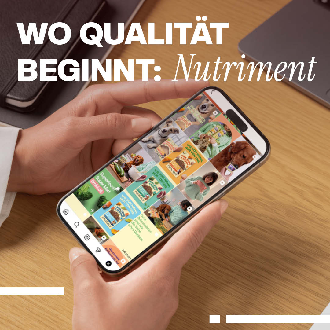 Luxregia Nutriment Headerbild: Nahaufnahme eines Smartphones mit buntem Futter-Layout, gehalten von einer Hand über einem braunen Holztisch – klare Markenbekanntheit.