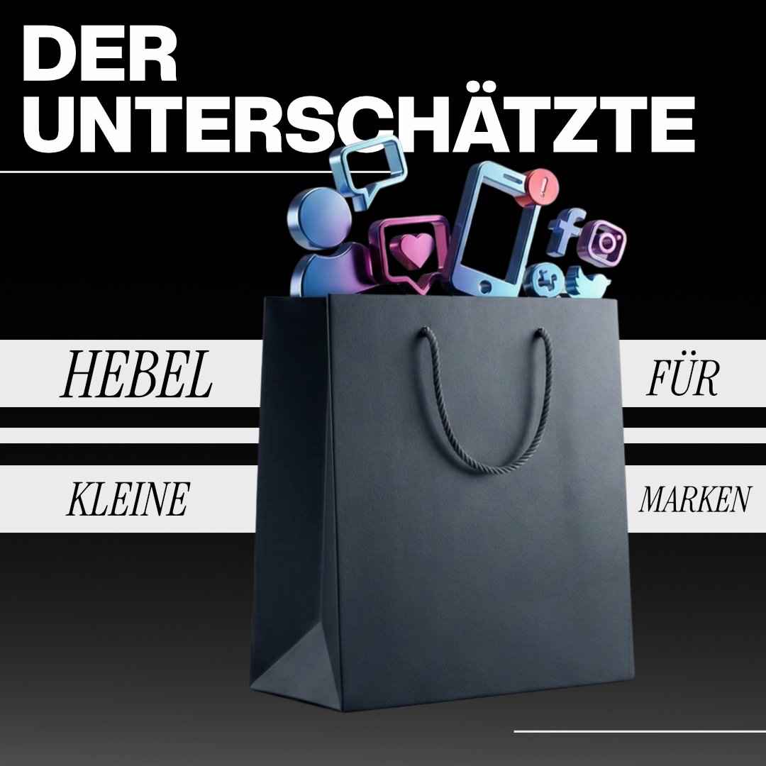 Luxregia Header mit schwarzer Hintergrundtafel, blaue Einkaufstasche und Social-Media-Icons, Hinweis auf Micro-Influencer für Heimtiermarken