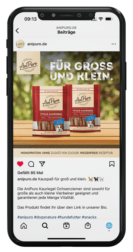 Smartphone_Anipuro02