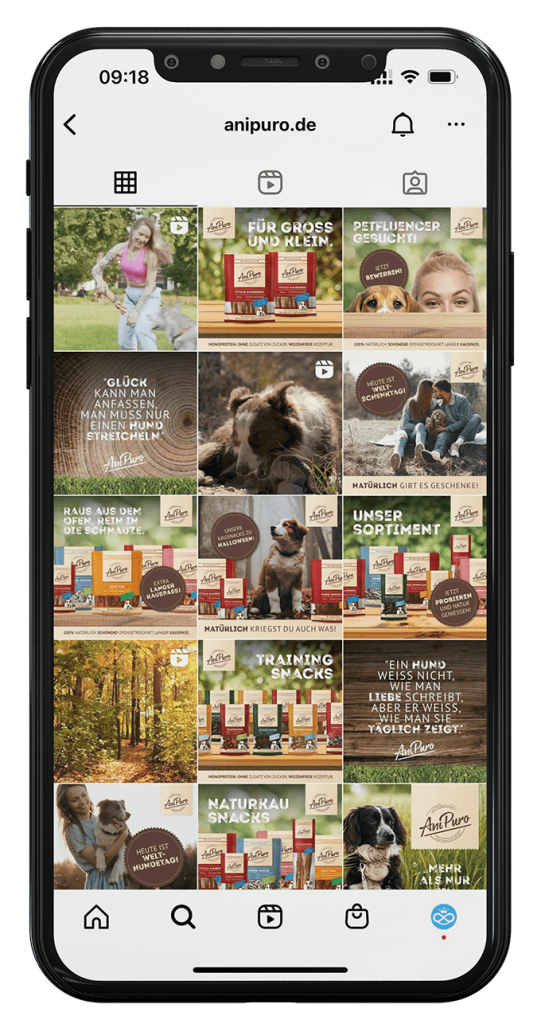 Smartphone_Anipuro04