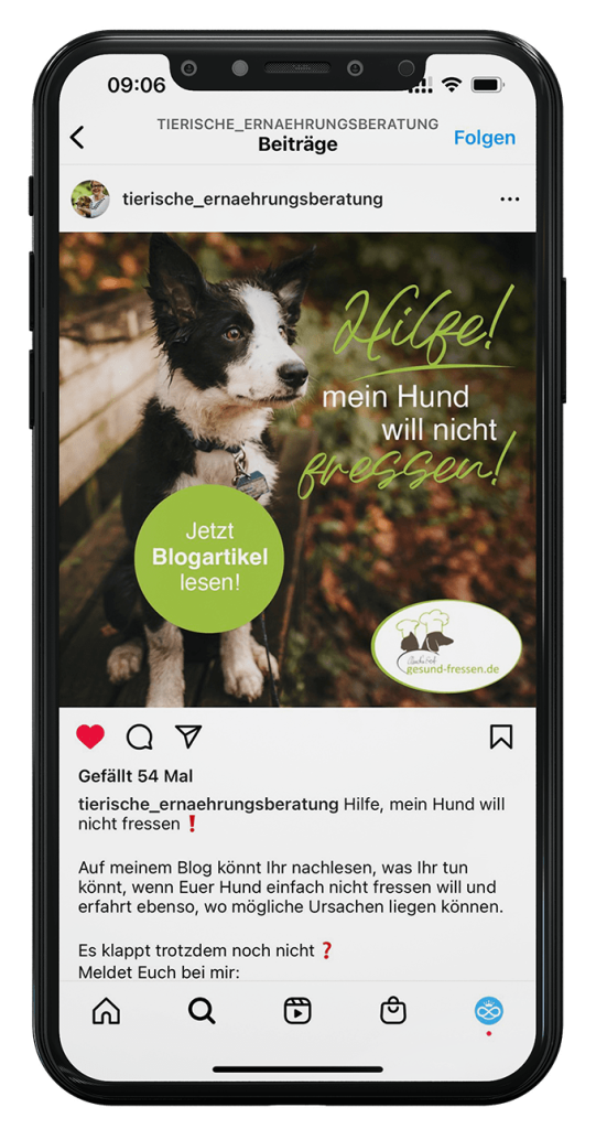 Smartphone_Frohlinder01