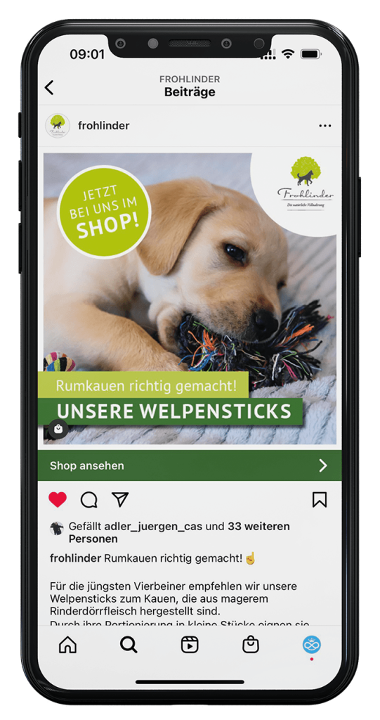 Smartphone_Frohlinder02