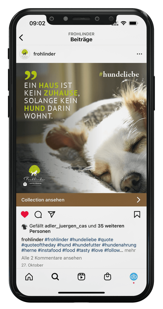 Smartphone_Frohlinder03