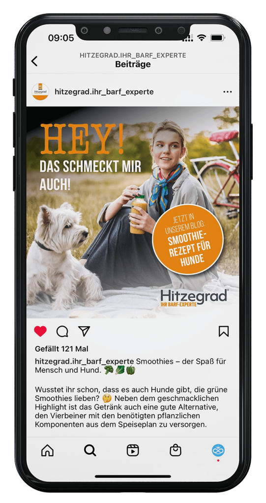 Smartphone_Hitzegrad01